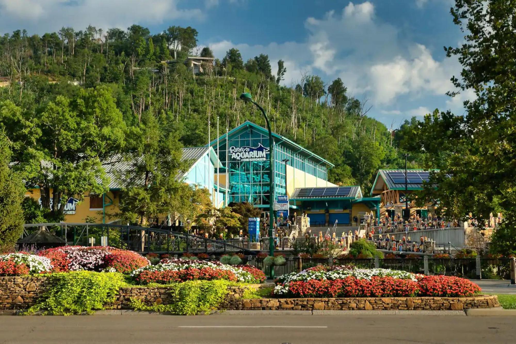 Views 1Br15Bath Pet-Friendly With Hot Tub & Bbq Pigeon Forge Exterior foto